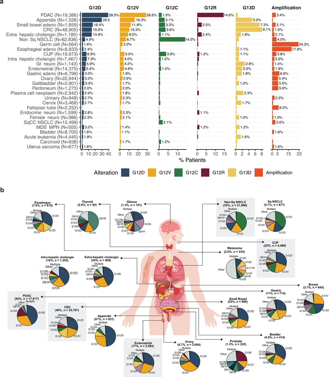 Anirban Maitra tweet media