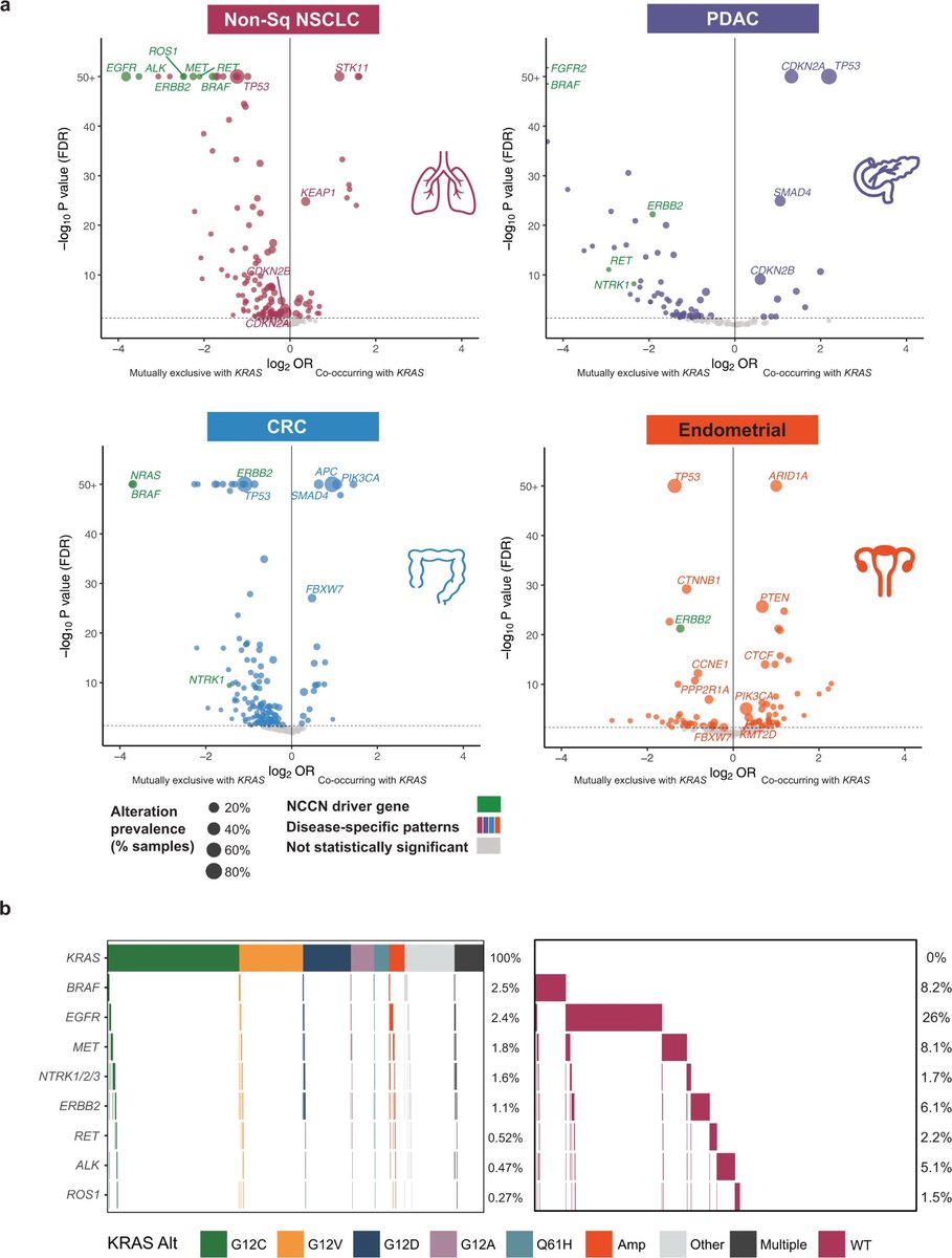 Anirban Maitra tweet media