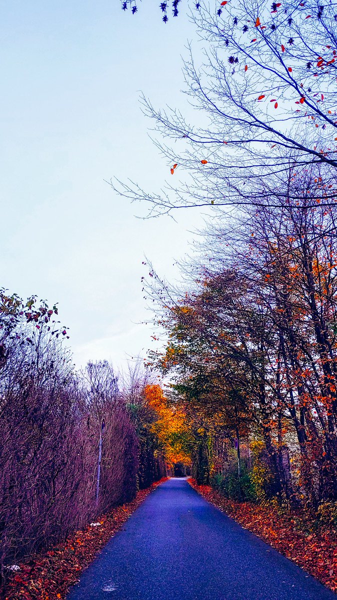 ivan4ova's tweet photo. #photographylover #picture #picoftheday #like #enjoythemoment #streetphotography #streetwear #urbanexplorer #ThePhotoHour https://t.co/AlEu60wxHI