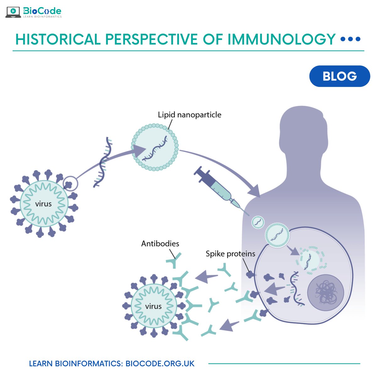 BioCode on Twitter "Immunology is derived from “Immunis” which is a