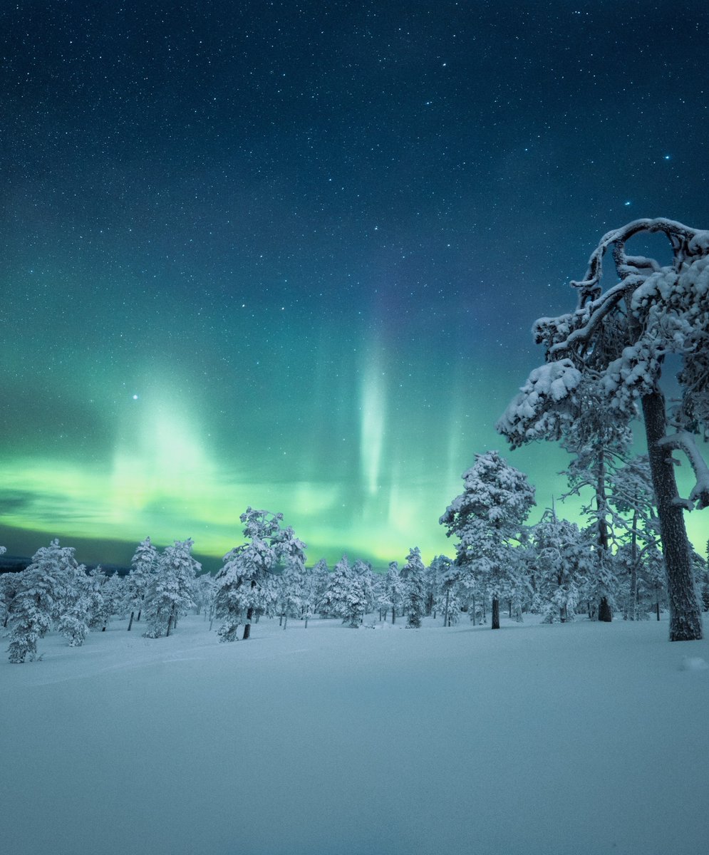 Tina Koskima 🕊️ (@lovesongs4peace) on Twitter photo 