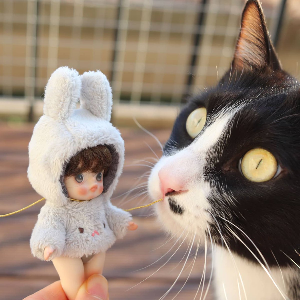ljydoll's tweet photo. #sylvy #์ค๋น #rabbit #bunny
.
Sylvy and Lucky who are not interested in each other.
.
์๋ก ๊ด์ฌ ์๋ ์ค๋น์ ๋ญํค๐คญ
.
#doll #cutedolls #leledoll #leejaeyeon #bisquedoll #porcelaindolls #๋น์คํฌ๋ #๋น์คํฌ์ธํ #ใฌใฌใใผใซ #ใในใฏใใผใซ #้ถ็ทๅจๅจ #ๆๅทฅๅจๅจ #ๅจๅจ #ๅไฝๅจๅจ https://t.co/4DO9pKzZ4o