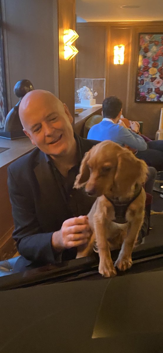 His name is Taxi and when it comes to the piano, frankly he’s all over it (“Santa Paws” event at the Ivy Club in aid of Battersea Dogs’ home)