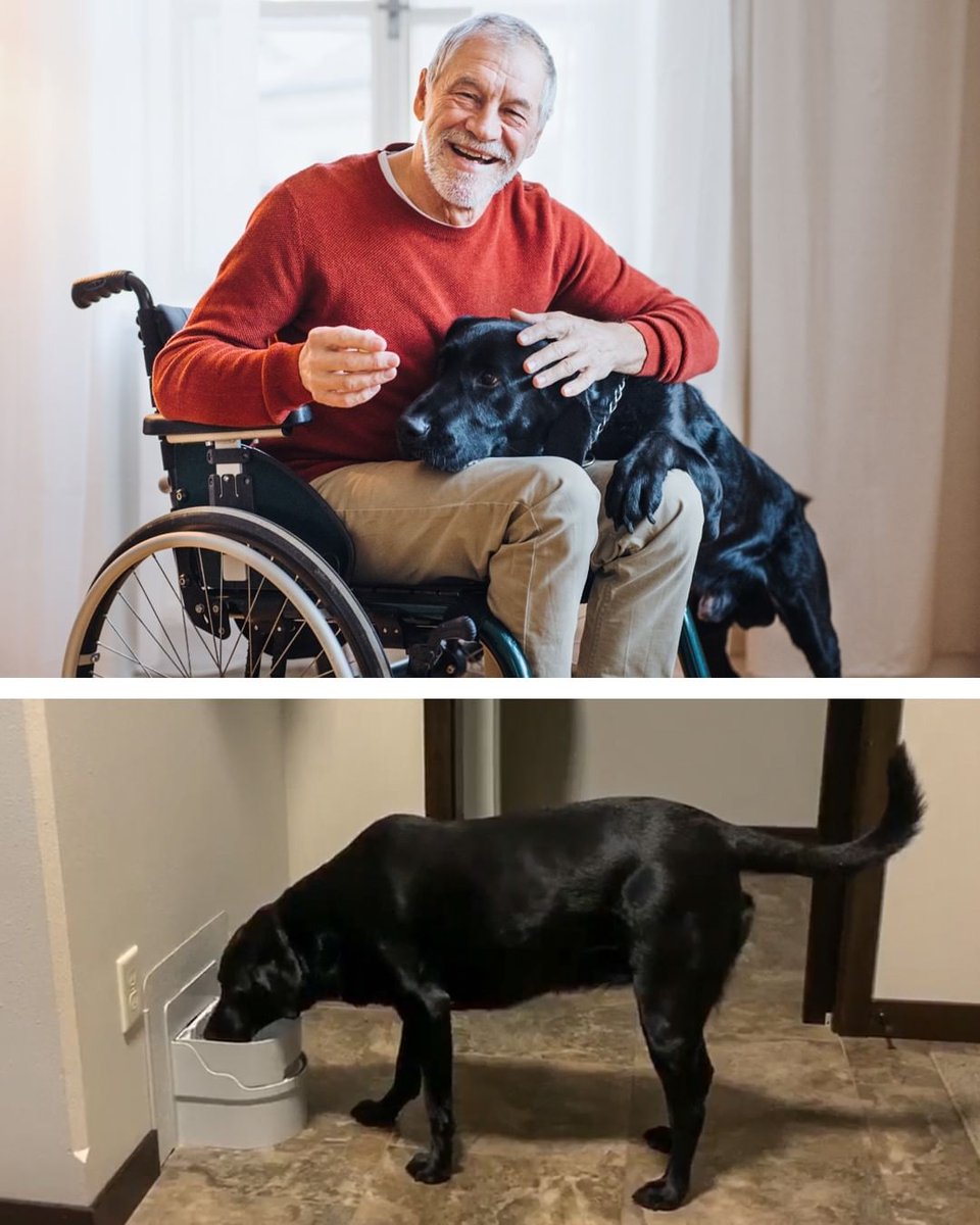 Perpetual Well is perfect for those that face mobility difficulties, such as the elderly or disabled. Never Let Your #Cat or #Dog Go Thirsty Again with Perpetual Well, the World’s First Automatic, Self-Filling &amp; Self-Draining #Pet Water Bowl! 
Learn More perpetualwell.com
