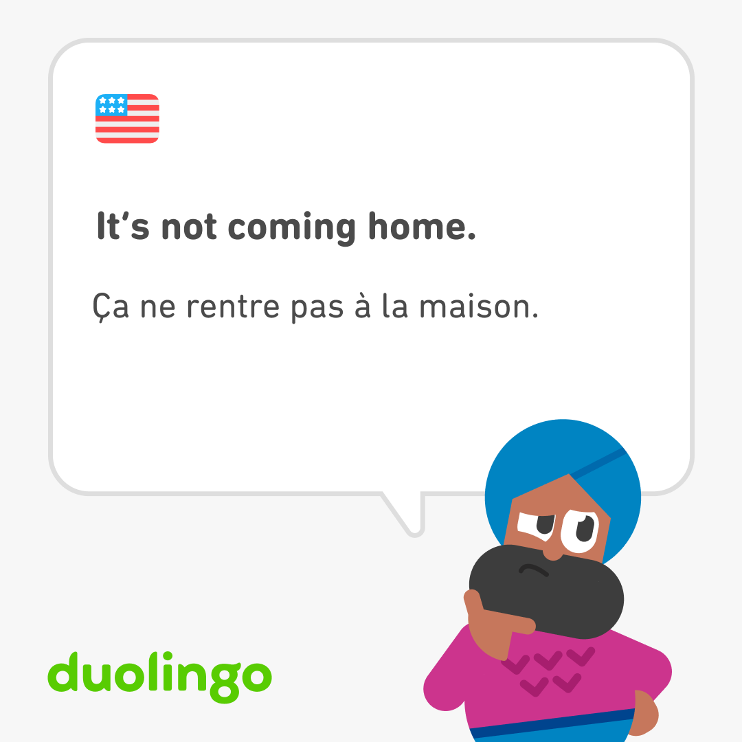 Duolingo France 🇫🇷 tweet media