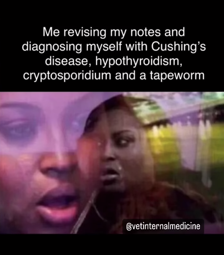 avima_vet's tweet photo. #vetmed #vettech #vetlife #veterinary #veterinarylife #veterinarymedicine #vetstudent #vetschool #dvm #veterinaria #veterinarios #veterinaire #vetnurse #instavet #vetsoftwitter #veterinario https://t.co/VC1cpDJDy8