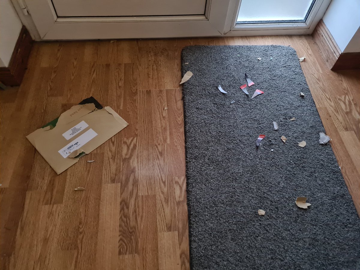 Kingscratcher's tweet photo. @Nick_Metcalfe @snookerscene Got mine today - dogs got to it first! They didn't even look guilty when I got home ๐ Replacement ordered ๐ https://t.co/QpHmtAC3yE