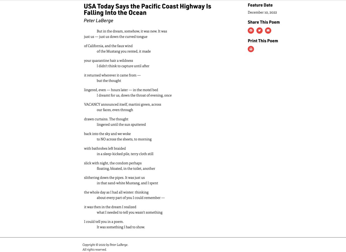 peter laberge 🌺 tweet media