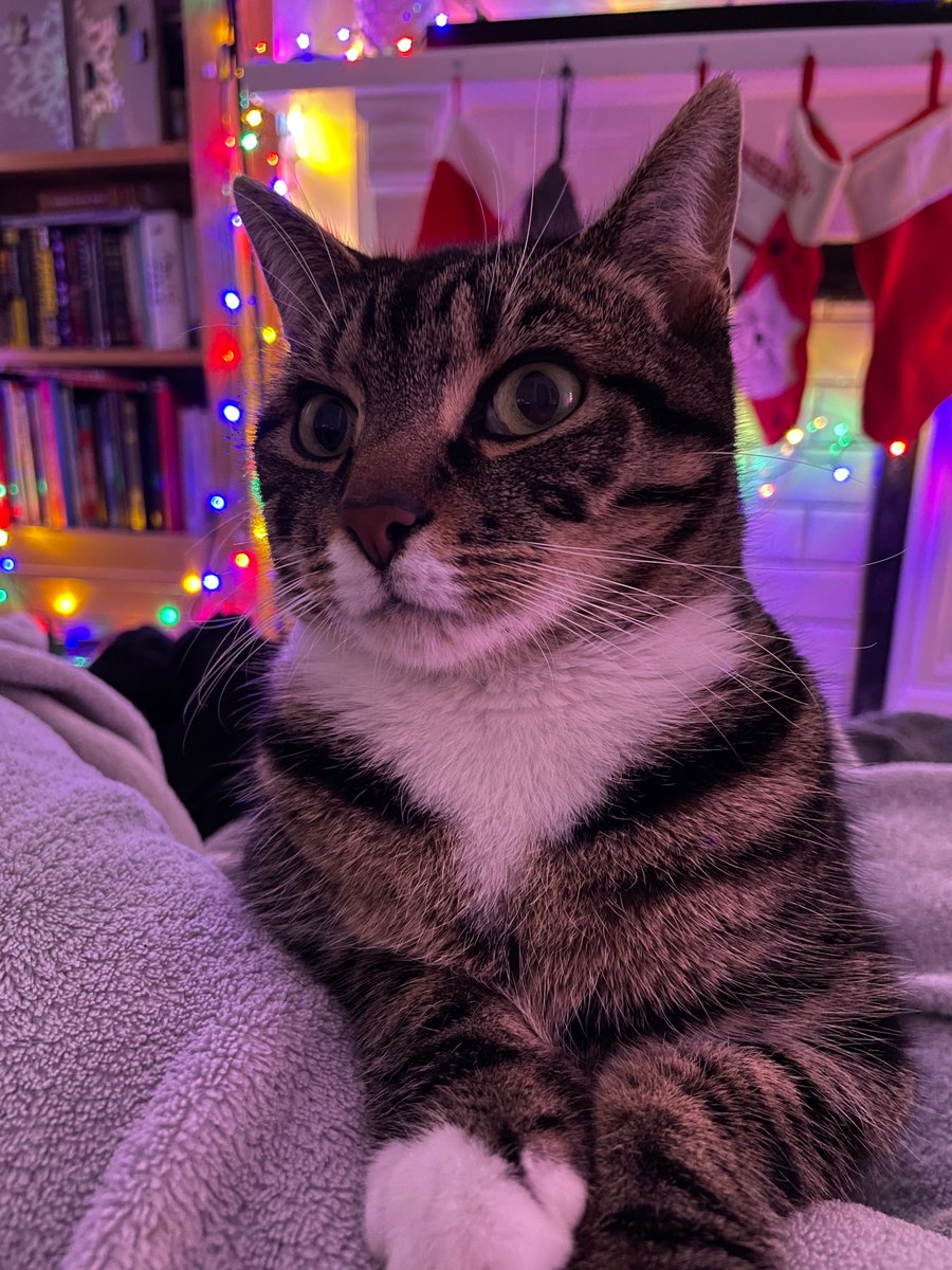 Uni ☕️ tweet media