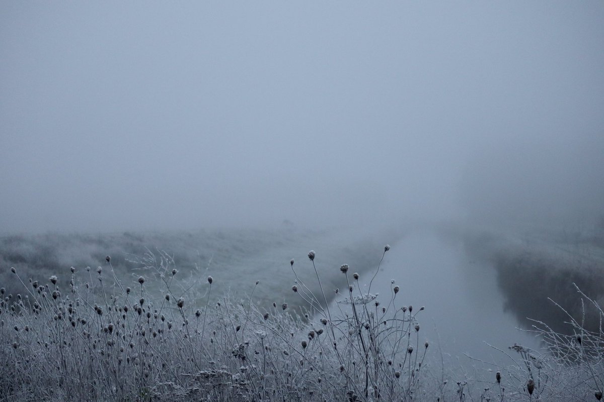 #koud #ijsdag #winterweer #mist #elst <a href="/parklingezegen/">Park Lingezegen</a>