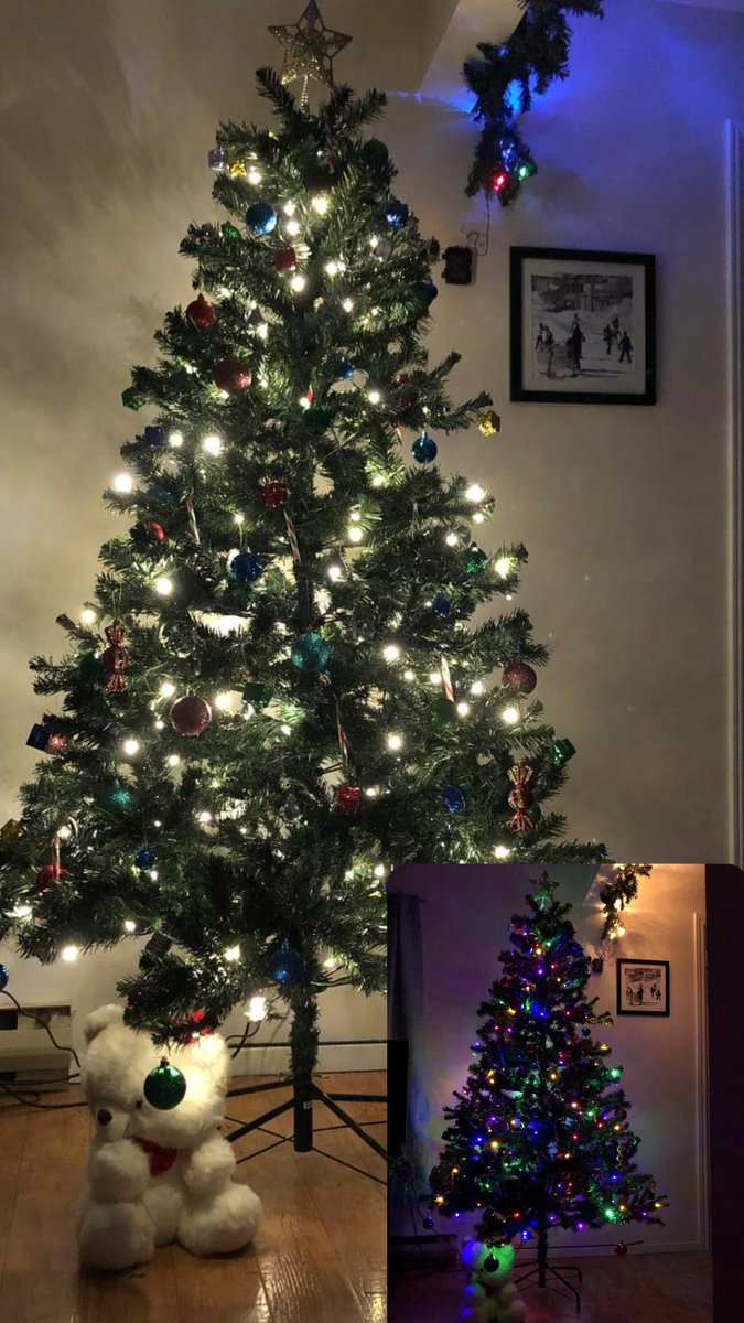 manyasiikk's tweet photo. 🎄 https://t.co/vPItBNbgrb