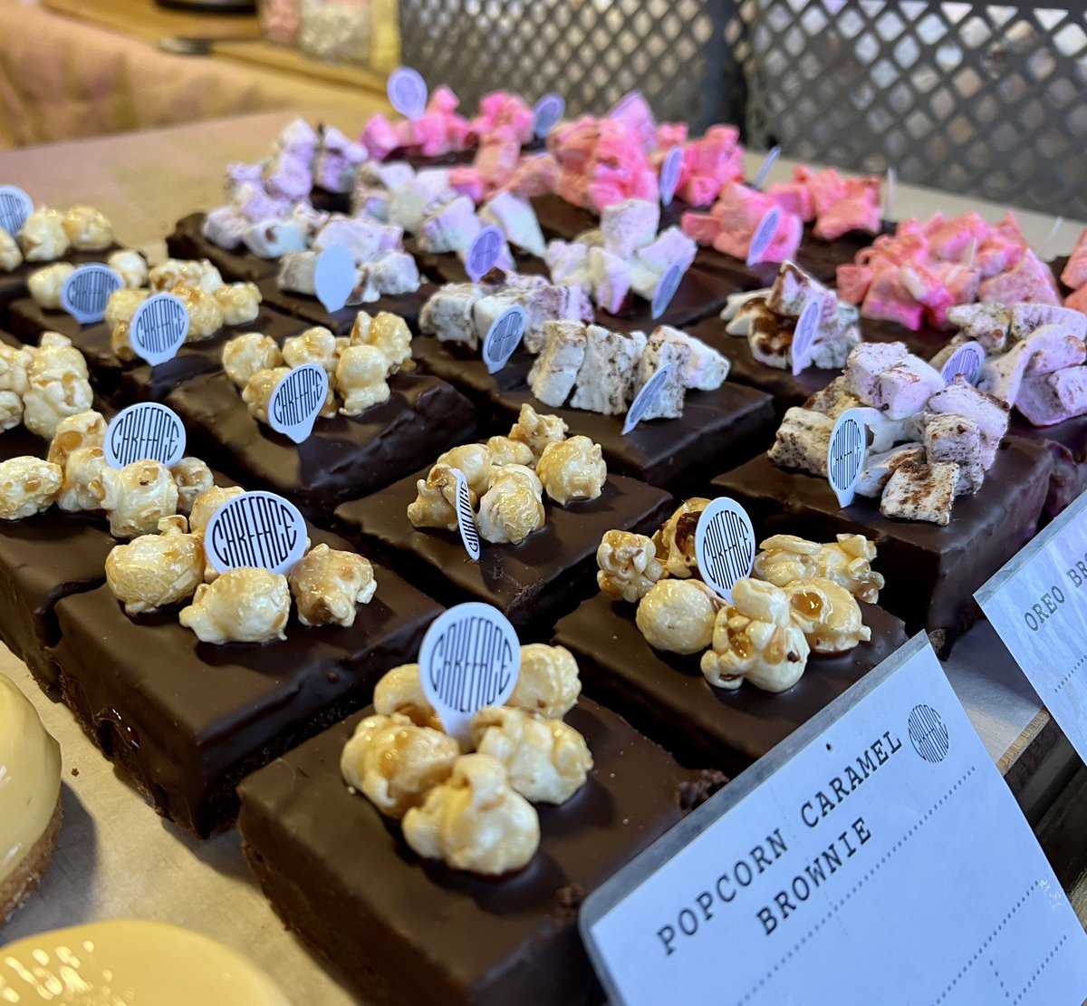 @poloconghaile tweet media