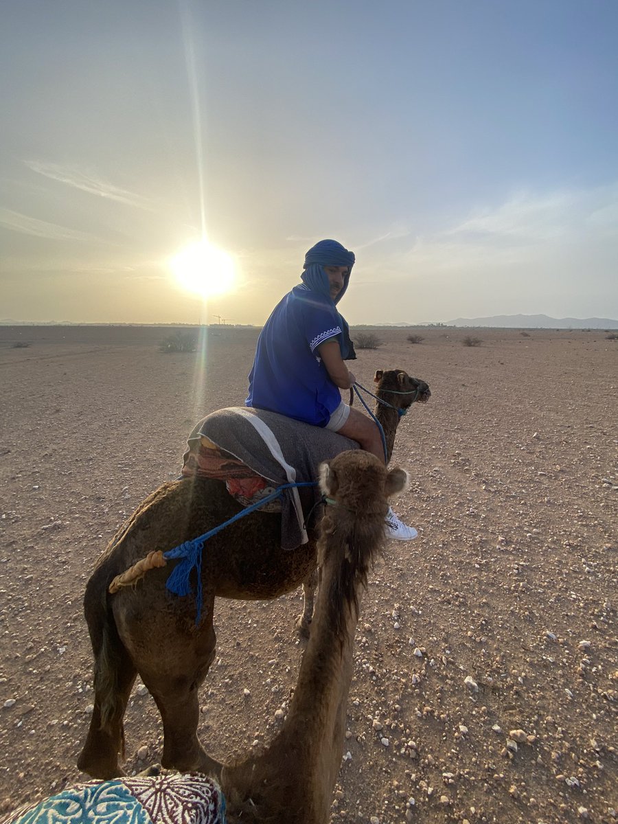 Emre__Engin's tweet photo. Adım adım şampiyonluğa #TeamMorocco https://t.co/uIGK4WIXuO