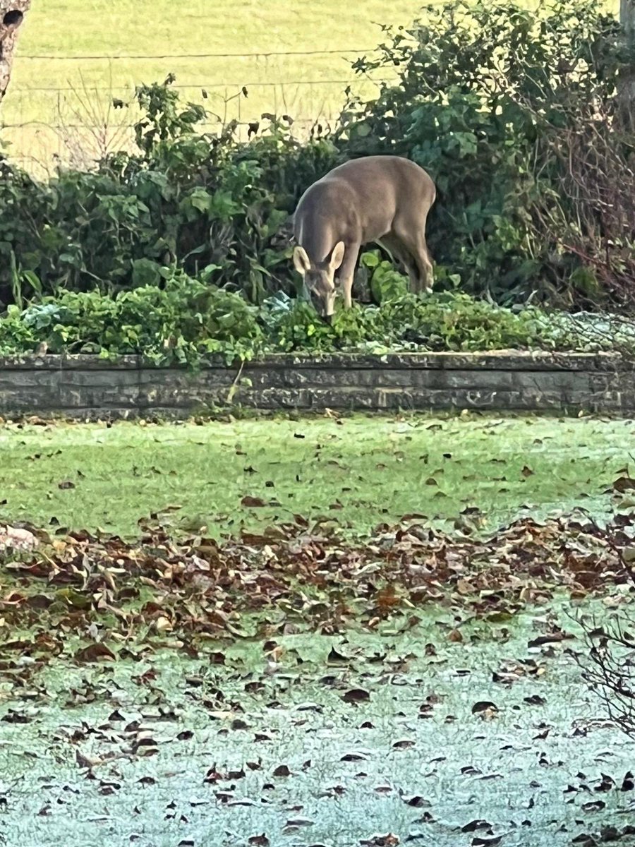 graham roberts (@grahamjroberts) on Twitter photo View from downs view farm this morning.<a href="/epsomgreenbelt/">Epsom & Ewell Green Belt Group</a> <a href="/epsom_news/">Epsom News</a> <a href="/EpsomEwellBC/">Epsom and Ewell Borough Council</a> <a href="/epsomcomet/">Epsom Comet</a> <a href="/surreylive/">SURREY LIVE NEWS</a> View from downs view farm this morning.<a href="/epsomgreenbelt/">Epsom & Ewell Green Belt Group</a> <a href="/epsom_news/">Epsom News</a> <a href="/EpsomEwellBC/">Epsom and Ewell Borough Council</a> <a href="/epsomcomet/">Epsom Comet</a> <a href="/surreylive/">SURREY LIVE NEWS</a>