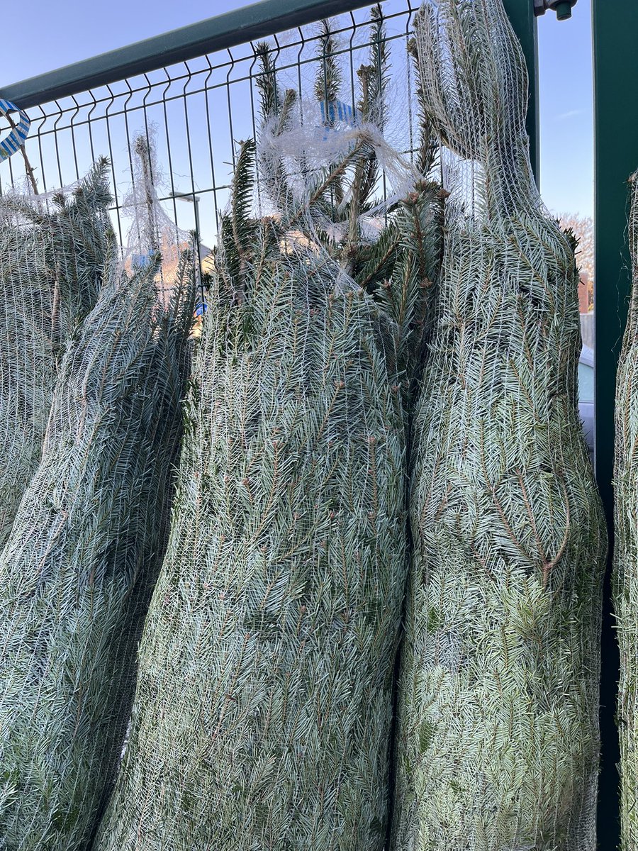 Warspite Sea Scouts tweet media