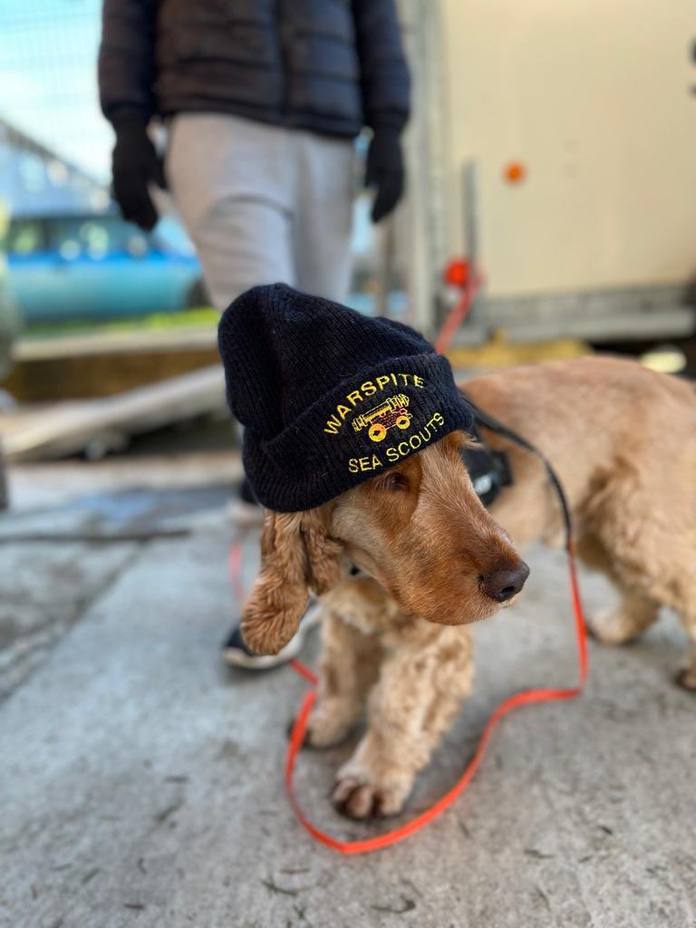 Warspite Sea Scouts tweet media