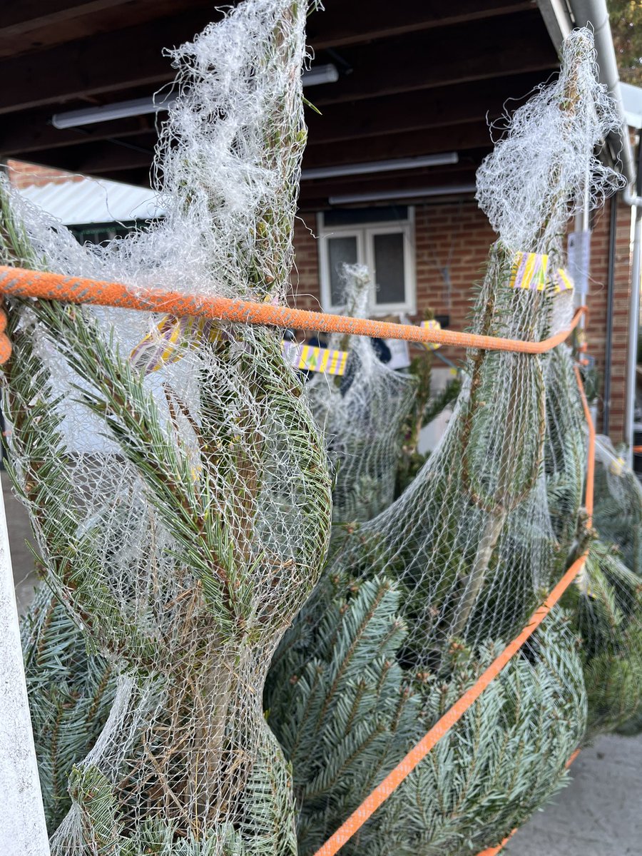 Warspite Sea Scouts tweet media