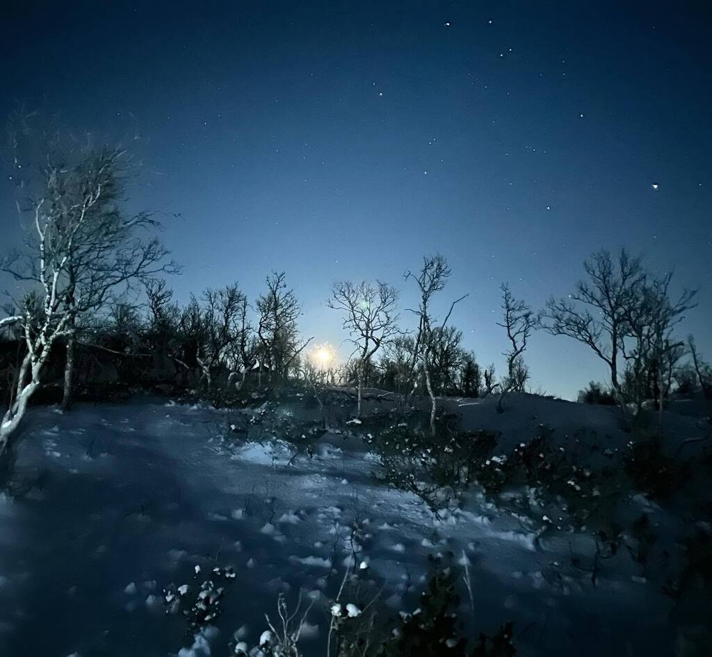phroddo's tweet photo. Moonrise…
#nerskogen #trollheimen #winterwonderland #moon #moonrise https://t.co/tmctyAA79Z https://t.co/Tya692yq5k