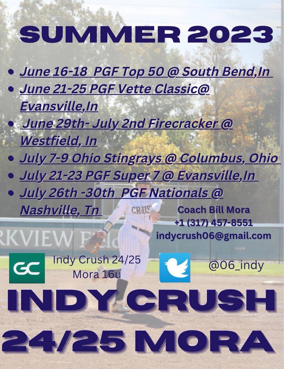 We are looking for a LF/UT and a P to join our roster. Contact info on the picture, don’t hesitate to reach out if interested.