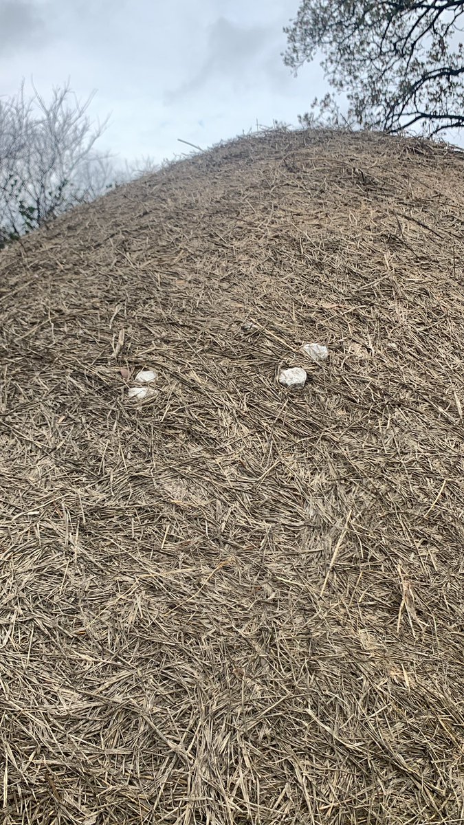 I think the Hay Baler was trying to put a little extra weight on this bale. Not sure the cows will appreciate the gravel.