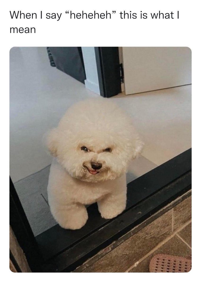 WholesomeMemes tweet media
