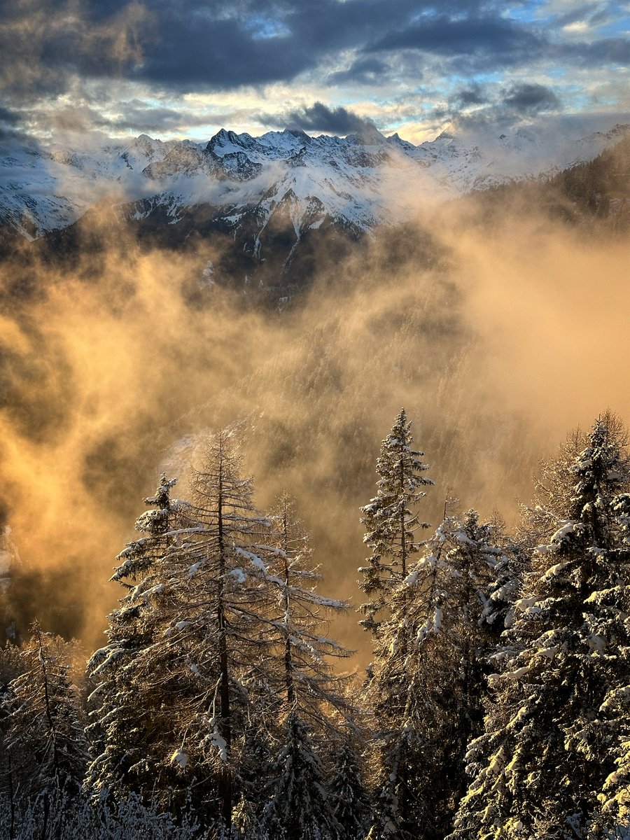 AndreaPizzini2's tweet photo. Shot right now on Meran 2000. The last light through the rising mist.
#meran #merano #meran2000 #merano2000 #southtyrol #altoadige #südtirol https://t.co/Bov4duFucX