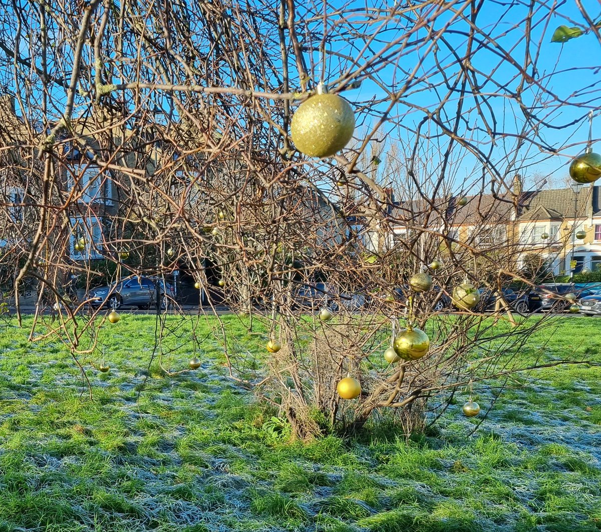 Nearby park earlier today: frosty and festive