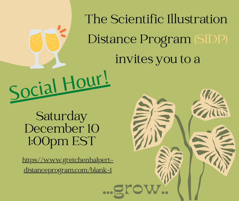 Gretchen Kai Halpert tweet media