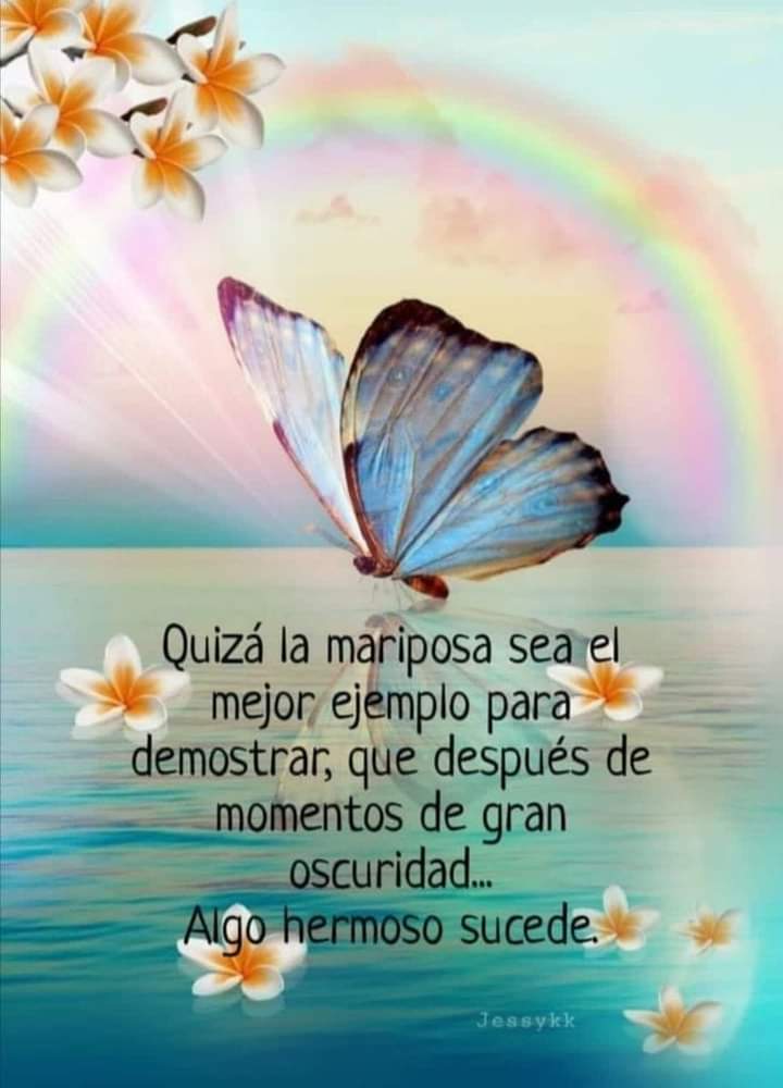 AriosYoliizz's tweet photo. https://t.co/viOTQypqMu