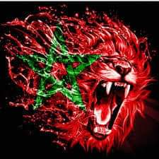 Mohamed habib (@mohamed47850513) on Twitter photo 