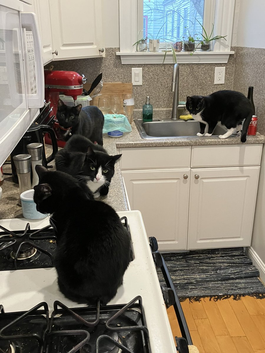 Evan Goldstein tweet media