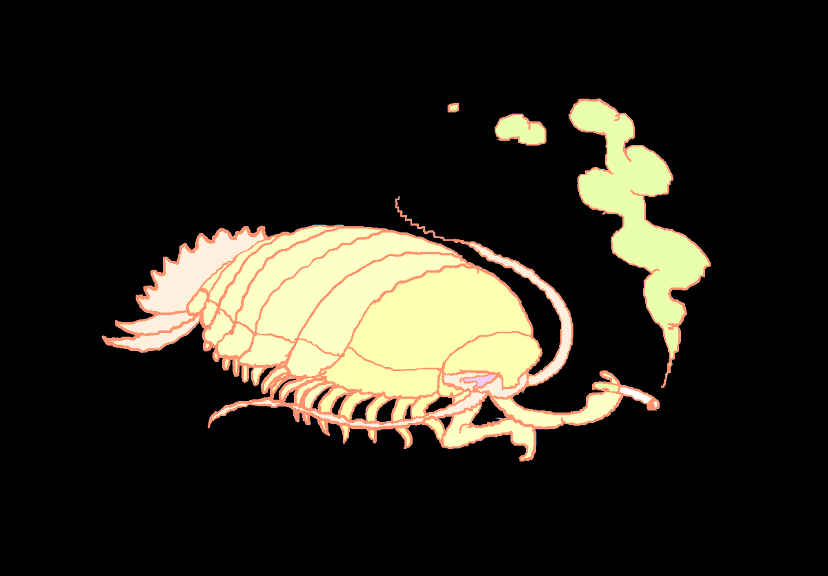 ospreys_nest's tweet photo. Isopod chilling out https://t.co/oofYjUFv57
