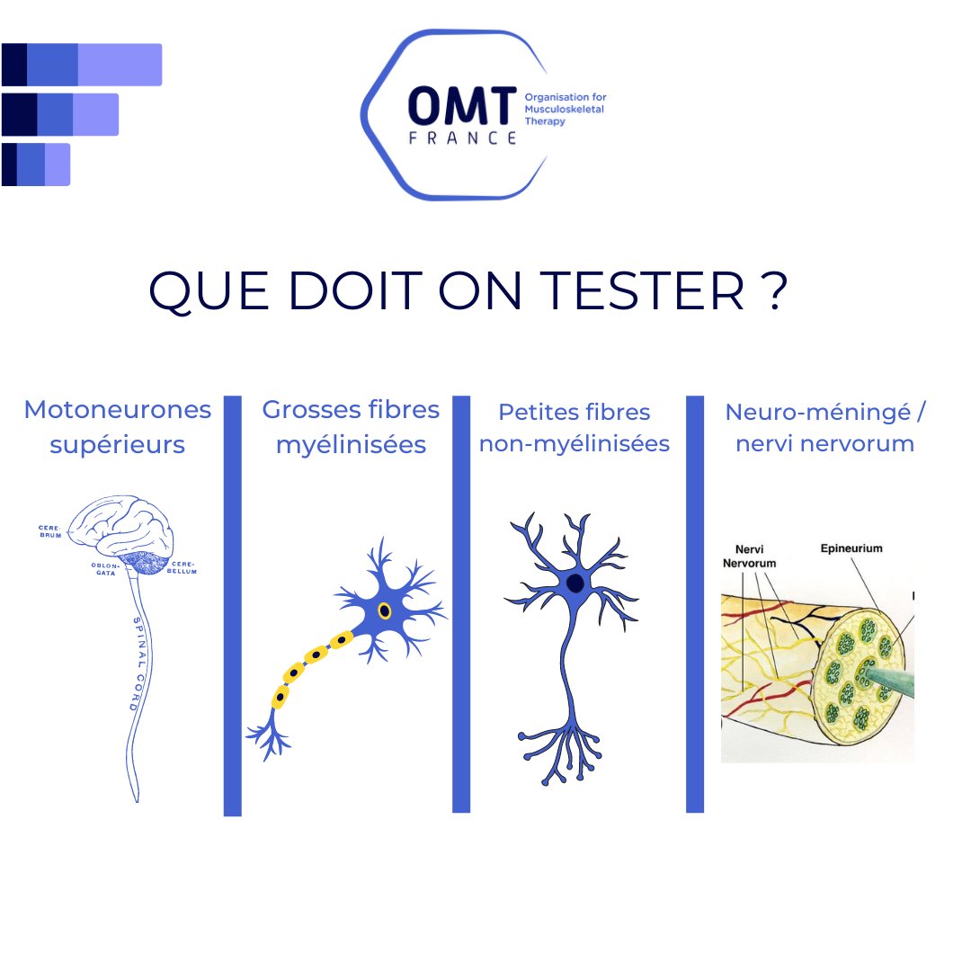OMT France tweet media