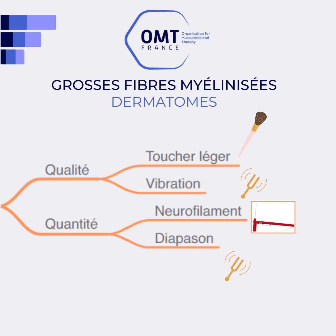 OMT France tweet media