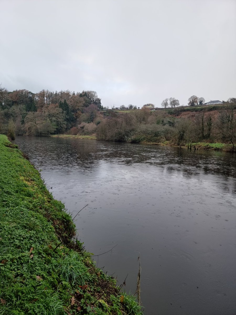 roriain's tweet photo. A great walk on the #BarrowWay in chilly conditions. Clashganna lock to Graiguenamanagh. #LeaveNoTrace #litterpick #RiverBarrow #lovewhereyoulive https://t.co/BdAtM9B3eG