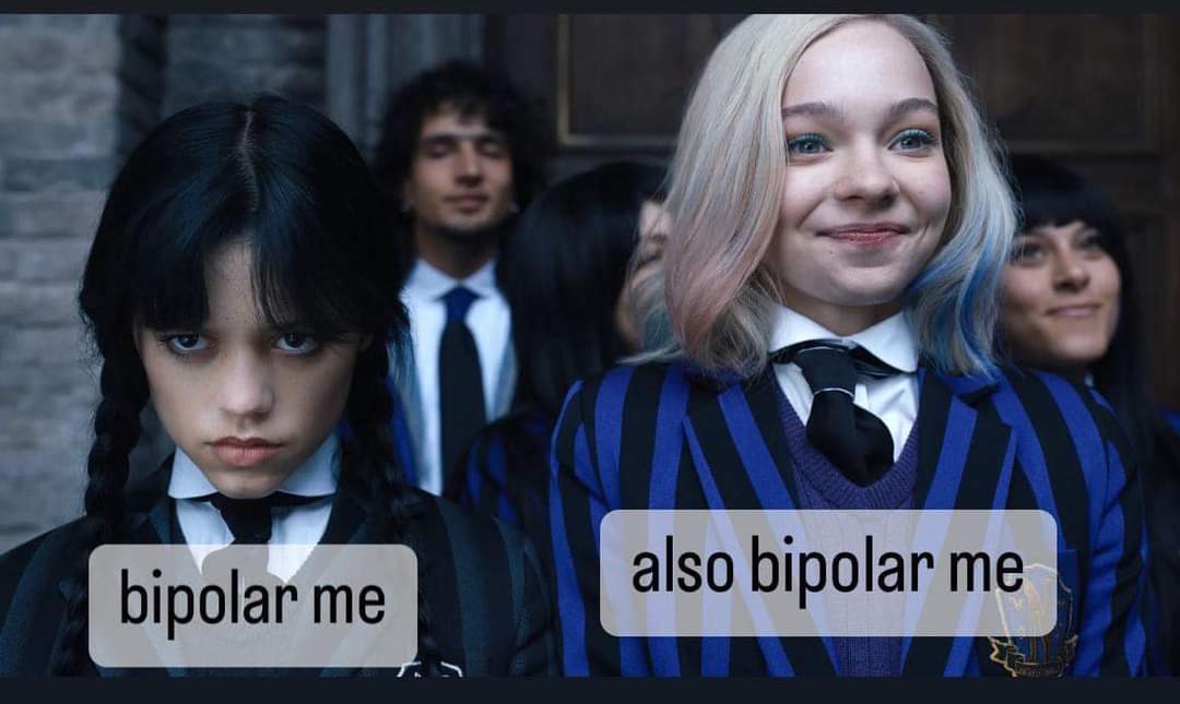bipolar_memes's tweet photo. https://t.co/VEskMh0o1X