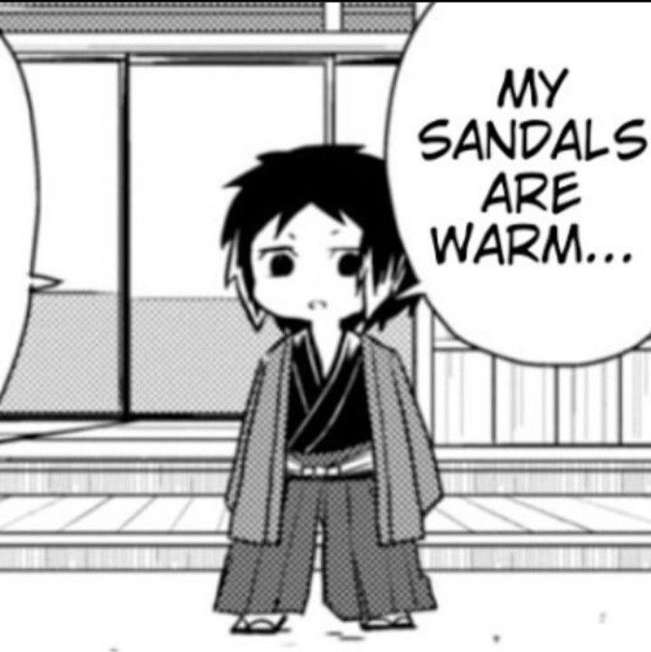 bsdcutepics's tweet image. his sandals are warm #bsd
