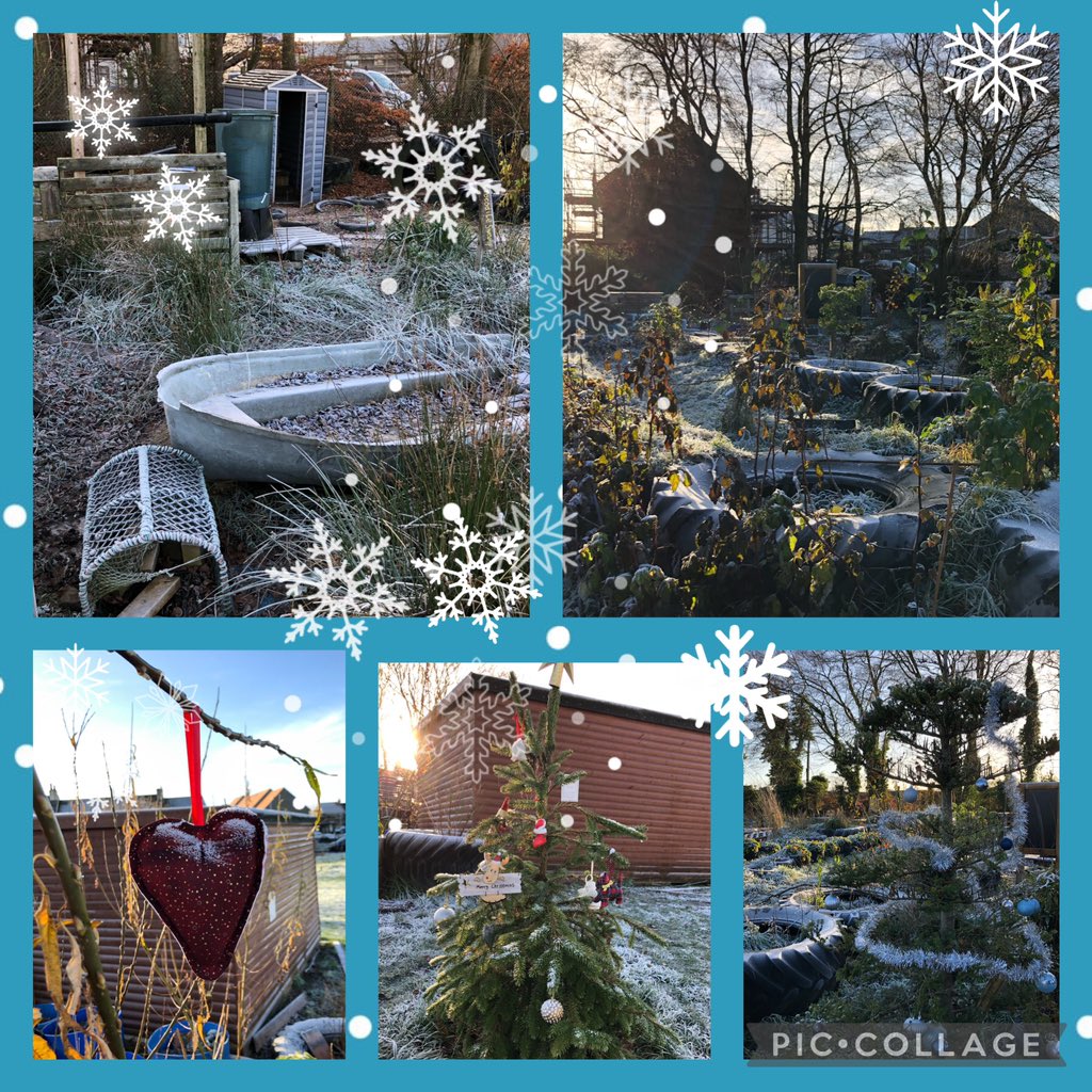 BrunetLaing's tweet photo. The #OutdoorLearning area looks even more inviting @TarboltonPS_sac with the sparkling frost and crispy weather! https://t.co/nkcVxf2z0i