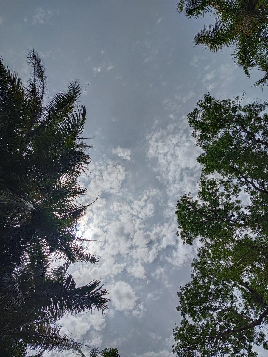 HarshDoshi_'s tweet photo. #NaturePhotography #love #vivoIndia #no_edit 
Device: Vivo V17 https://t.co/WTv6MII9QU