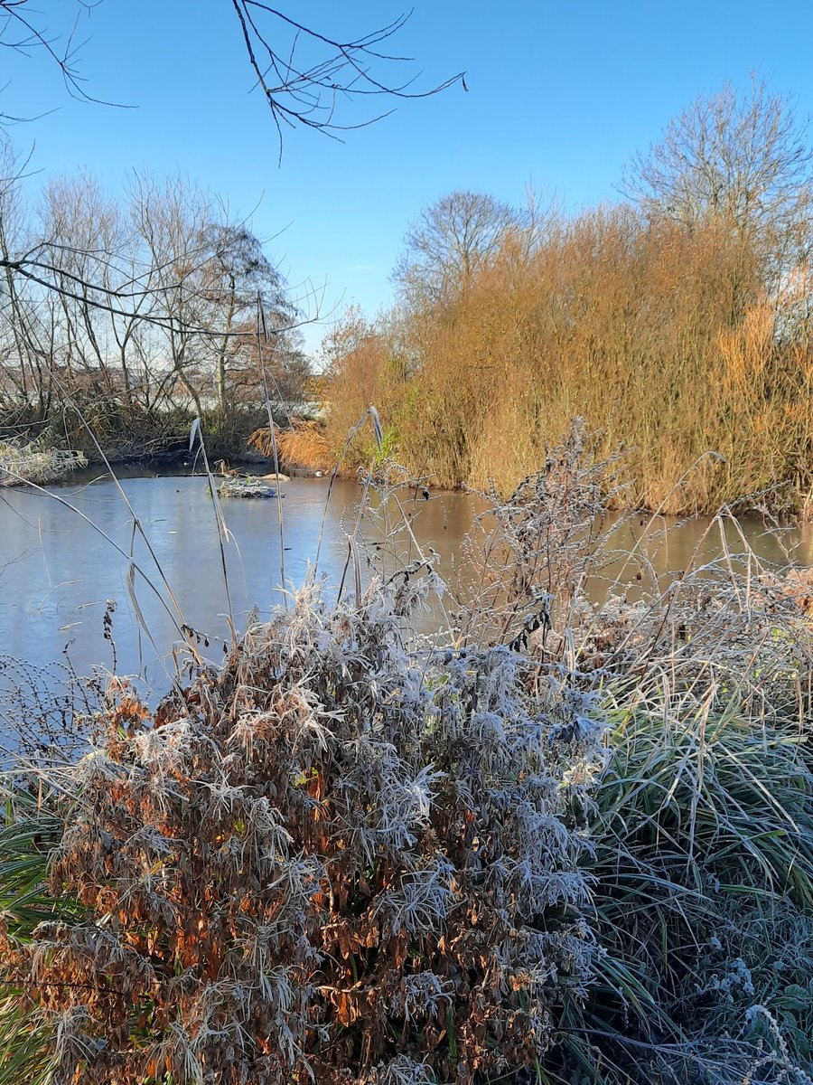 Frosty Park Run in Bexley this morning but smashed my PB 🐐 #running #run #fitnessaddict #Wellbeing #exercise