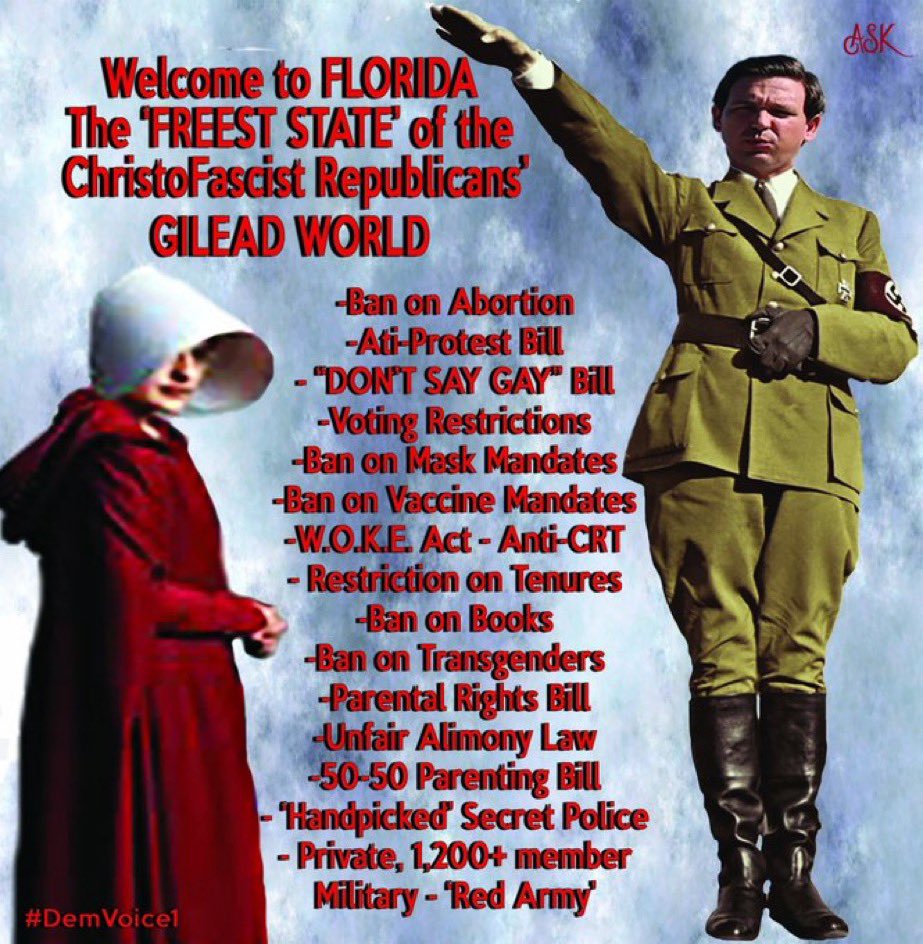 LadyRaven3's tweet photo. @Analisa_Swan .
Democrats need to participate 💯% in our democracy by voting in EVERY election: federal, state, and local.

If Repubs control the states to the local level, we lose our democracy &amp; freedoms. Florida is the prime example, with authoritarian Gov Ron DeSantis’ FL hellscape.
. https://t.co/WtqyLbfkqM