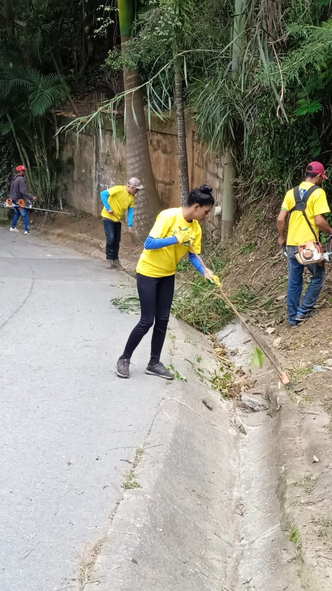 ElHatillo's tweet photo. Cuadrilla vial continúa con trabajos de desmalezado, limpieza y recolección de desechos vegetales  en la calle #Unión de #AltoHatillo , #Caicaguana , #Corralito y  #Tiama 

#SeguimosTrabajando por el cuidado de nuestro municipio. https://t.co/2MhWQIWq8O
