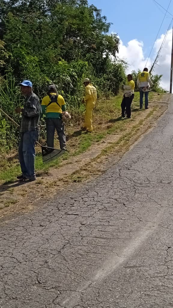 ElHatillo's tweet photo. Cuadrilla vial continúa con trabajos de desmalezado, limpieza y recolección de desechos vegetales  en la calle #Unión de #AltoHatillo , #Caicaguana , #Corralito y  #Tiama 

#SeguimosTrabajando por el cuidado de nuestro municipio. https://t.co/2MhWQIWq8O