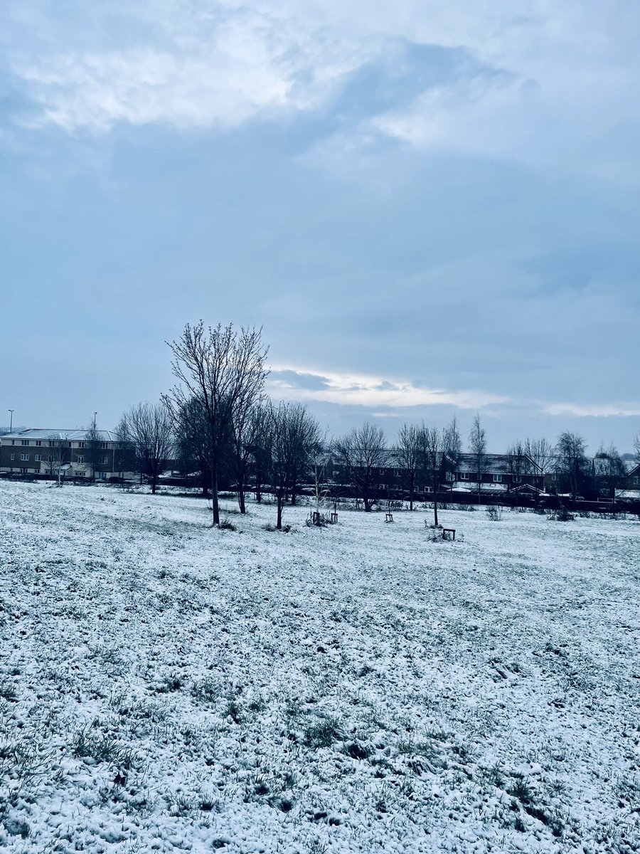 Unexpected snow day ❄️☃️🐶