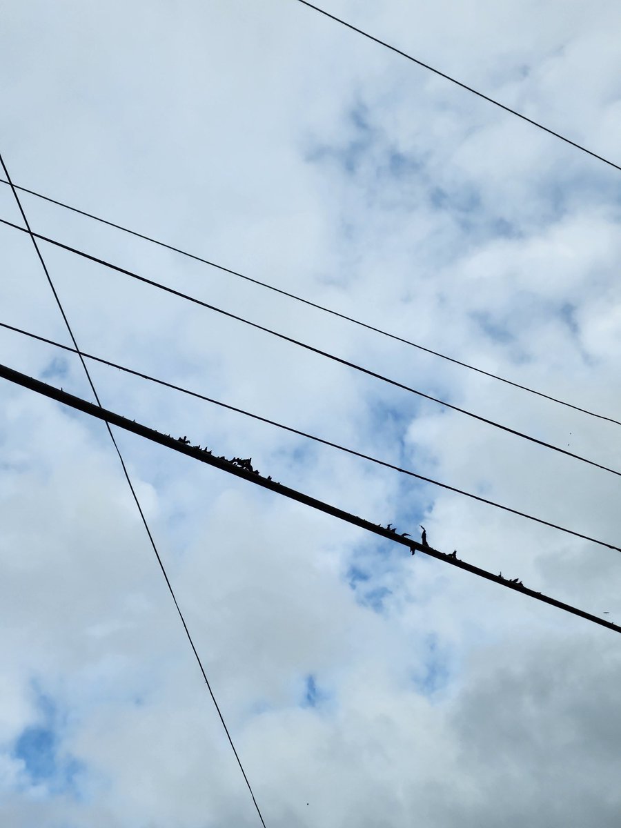 rjtr's tweet photo. Mientras tanto, así está su red física en #Caripe #Monagas , las fotos son de ayer, y he denunciado eso hasta el cansancio , sin dejar por fuera que sus radiobases ni respaldo eléctrico tienen IRRESPONSABLES https://t.co/1ZT7q7YLyI