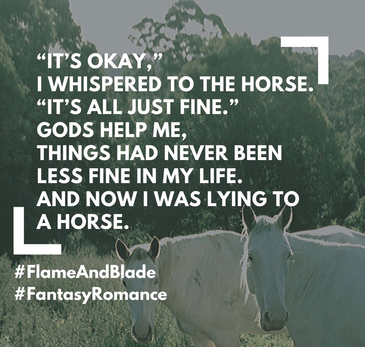 WriterSamMac's tweet photo. Love, Adventure, and Monsters: The Complete Flame &amp; Blade comes out in less than a week!!!

🔥⚔️

It's $3.99 now but will be $9.99 once it's live.

https://t.co/L40f8A5ZV3

#FlameAndBlade #KU #KUreads #KindleUnlimited #FantasyRomance #EpicFantasy #FantasyBooks #FantasySeries https://t.co/jpYAC8kY0u