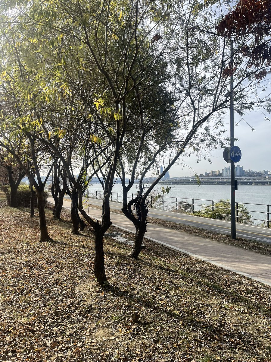 xlllx_97's tweet photo. Seoul.. https://t.co/tCWX0z6IeA