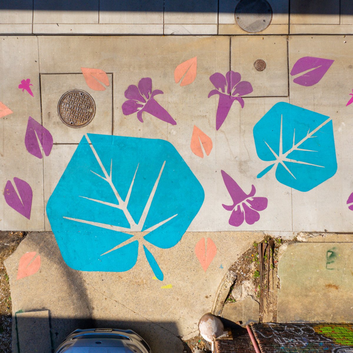 Back in Oct we worked with the <a href="/BromoDistrict/">BromoDistrict</a> to create the #BromoPaintedPath connecting art and cultural venues along Tyson Alley between Franklin and Saratoga. Its splashes of teal, purple &amp; pink evoke the wild plants growing along the alley’s canyon-like walls. #grahamprojects