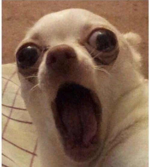 RAwateh's tweet photo. Me when someone says they can't make it for the 12HoursofPrayer @kawepeworshipcenter 
#ExploitsFellowship
#12HoursofPrayer https://t.co/D7xaA7IDwC