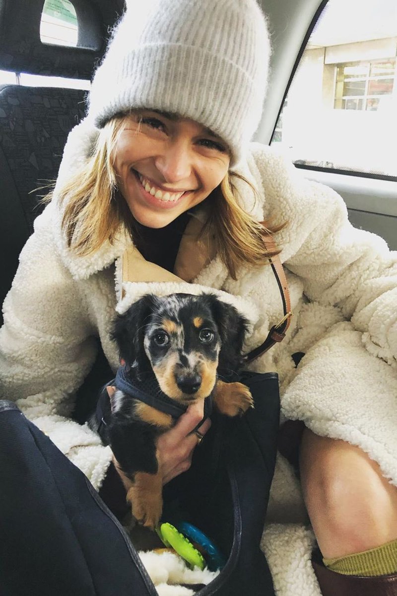 c❄️dfran tweet media